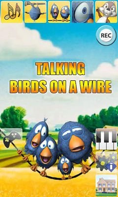 download Talking Birds On A Wire apk
